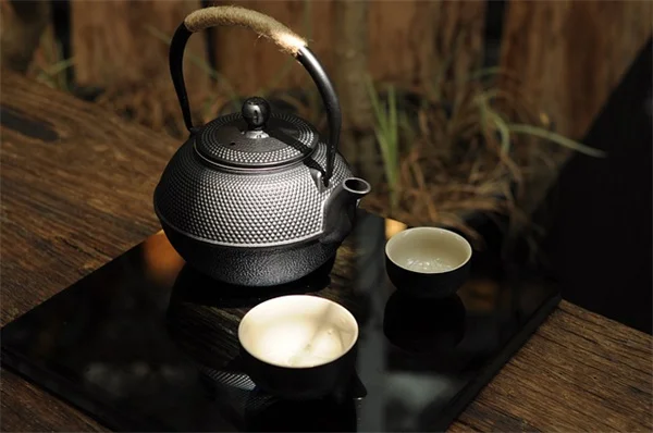スズメバチも花粉を運ぶの？知っておきたい誤解と真実