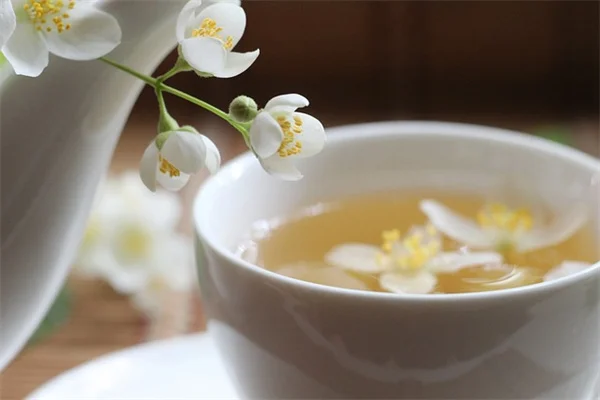スパガーデンの始め方【初心者でも失敗しない3つのポイントとおすすめ植物】