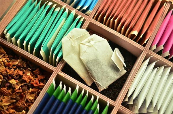 モミの木のおすすめ4選｜プロが教える見分け方と育て方のコツ