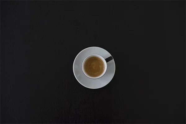 スノーボール・アジサイの代わりに試すべき低木