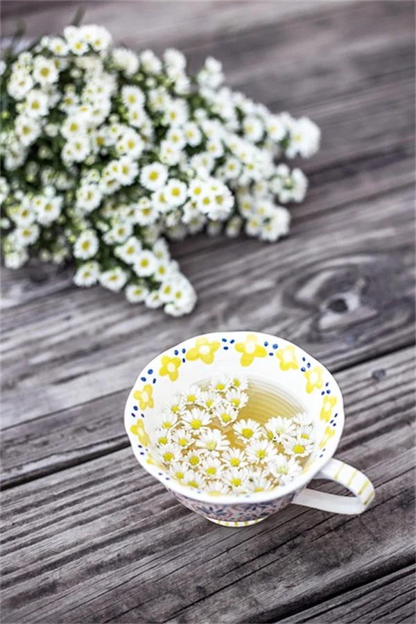 3月の芝生補播はまだ早い？水仙が教える最適なタイミング
