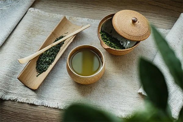 もう迷わない！成長が早くて暴れない、おすすめつる植物7選