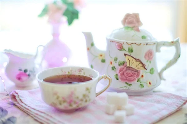 夏の芝生の種まきは遅すぎる？経験者が教える成功する方法